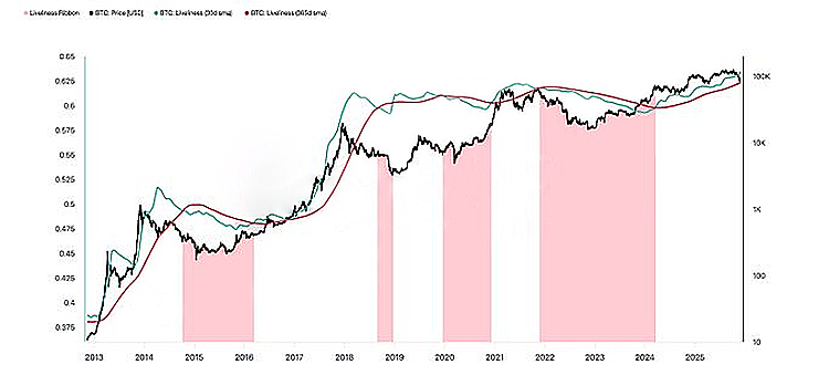 گلسنود معتقد است که روند قیمت بیتکوین با اوجهای گذشته مطابقت نزدیکی دارد گلسنود معتقد است که روند قیمت بیتکوین با اوجهای گذشته مطابقت نزدیکی دارد